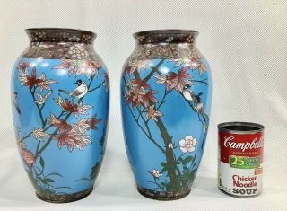 Large Pair Turquoise Antique Japanese Meiji Cloisonné Vases Birds Maple Leaves