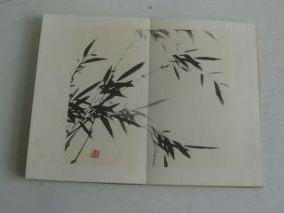 Fine Old Antique Chinese Landscape Brush Painting Accordion Album Book Signed