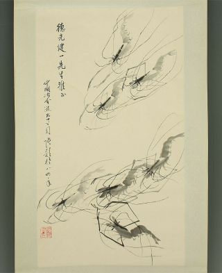掛軸1967 Chinese Hanging Scroll " Shrimp " @m501
