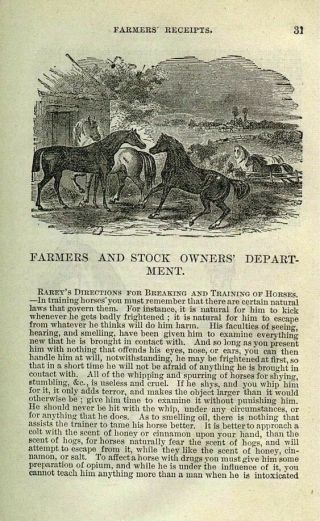 1884 ANTIQUE COOKBOOK FARM GUIDE HOME MEDICAL BEES SOAP WOOD METAL WORK MECHANIC 3