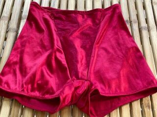 Second Skin Vintage Full Brief Nylon / Spandex Glossy Red Panties Sz Large