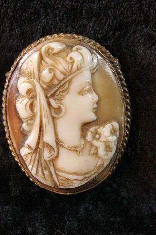 Antique 12kt Gold Band Shell Carved Victorian Cameo Brooch Of Woman / Flowers
