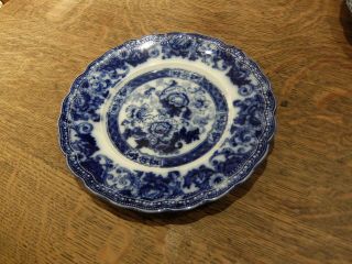 10 X Wood & Son Antique Flo Blue Royal Semi Porcelain Plate Verona 24.  5cm/9.  75 "