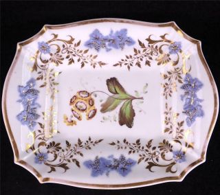 Antique H & R Daniel Porcelain Dessert Dish Cusped Shape Pattern 3835