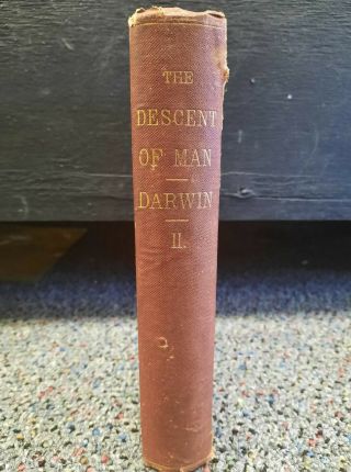 Charles Darwin - The Descent of Man Vol.  2 - 1st Edition Antique 1871 Hardcover 2