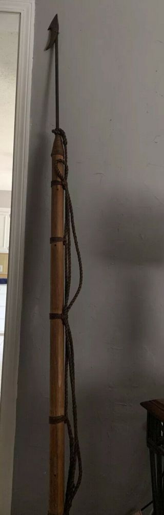 Antique Whaling Harpoon Long With Rope And Iron.  7ft