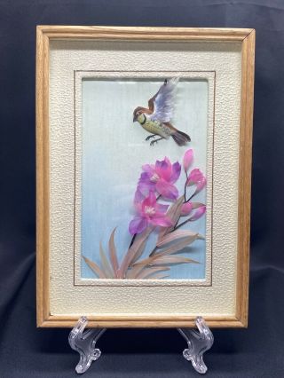 Vintage Bird Feather Art Shadow Box Style 3d Birds Flowers Framed 10 1/2 X 7 1/2