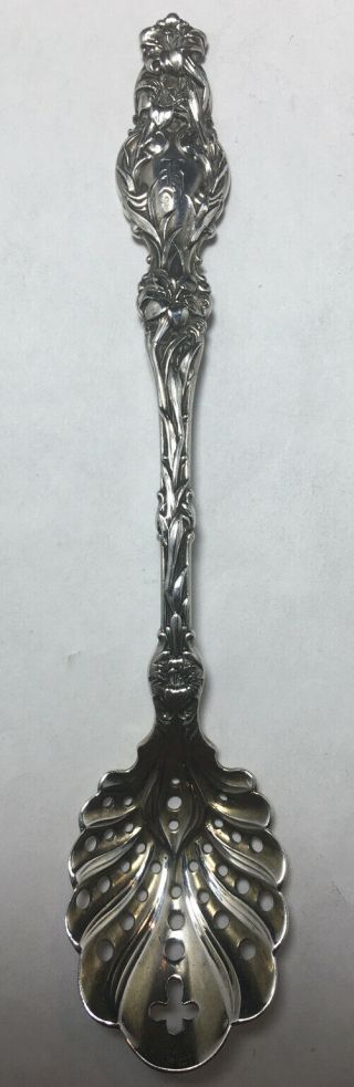 Whiting Lily Pattern Sterling Silver Pierced Sugar Sifter Spoon 1902