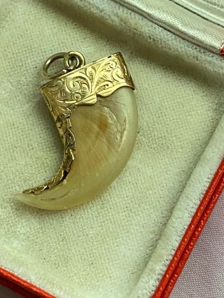 Antique 9ct Mark Tiger Claw Shape Gold Pendant