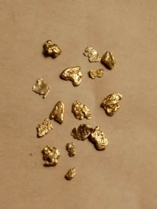Gold Nuggets From Chicken Alaska 40 Mile Chunky High Purity 3.  453 Grams