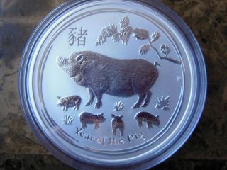 2019 P Australia Silver Lunar Year Of The Pig 5 Oz.  $8 - Silver Coin Cond.