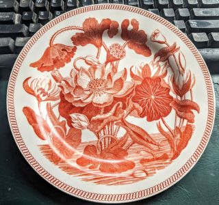 Antique Wedgwood Pearlware Water Lily Plate In Orange Darwin Series C1808