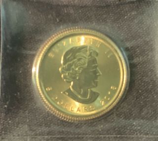 Bright 1/10 Oz 2018 Canadian Gold Maple Leaf $5 Coin Gem Bu