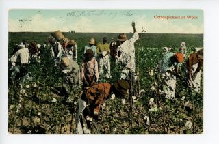 “cotton Pickers At Work” Antique African - American Plantationfarm Deep South 1908
