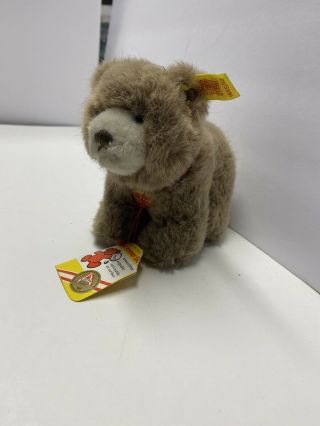 Steiff Browny Bear Miniature Plush 5 " 1445/12 - Vintage With Tags