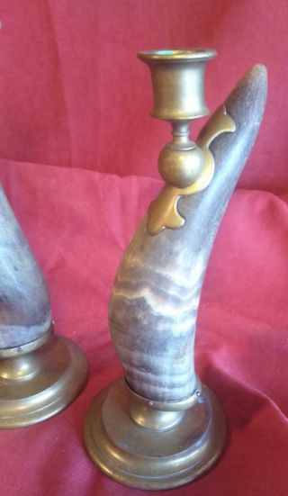 Old Antique Set of Two Cow Cattle Horn Brass English Candlesticks Two 2 2