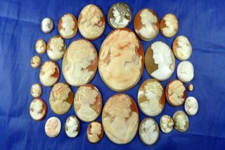 Quantity 30 Antique & Vintage Natural Carved Shell Cameos For Brooch Ring