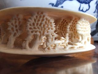 Antique Chinese Canton Carving Clam Shell Hunting Scene 3D Diorama 3
