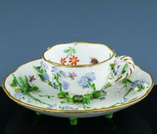 Antique 19thc Meissen Porcelain Enamel Insects Flower Encrusted Cup & Saucer 2