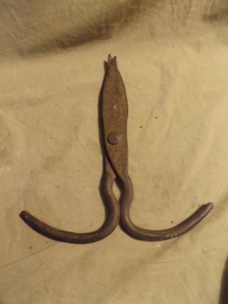 Primitive Antique ça 1800 Hand Forged Tin Copper Snips Unsigned 9x10 "