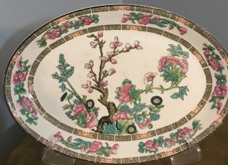 Antique John Maddock And Sons Royal Vitreous Indian Tree Oval Plate/platter