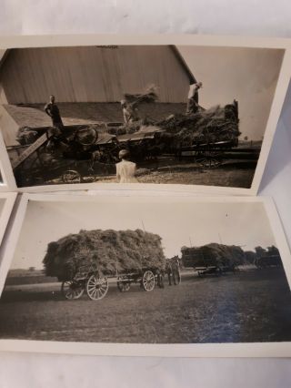 Vtg Antique Photo Tractor Wagon Hay Bailing Threshing Farm McCormick Deering 3
