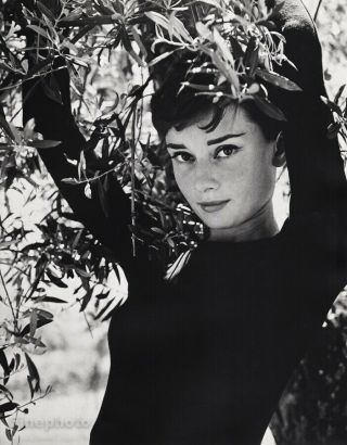 1950s Vintage Audrey Hepburn Movie Actress By Philippe Halsman Photo Art 16x20