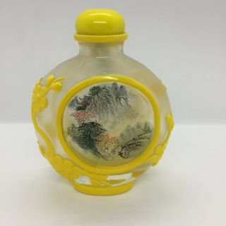 Vintage Chinese Peking Glass Snuff Bottle Rare Floral Overlay Reverse Painted