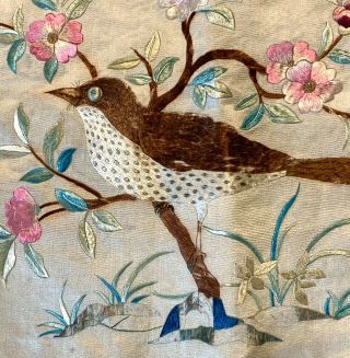 Belle Soierie Lyon ? Ancienne Soie Oiseau Broderie Fleurs Antique Victorian Silk