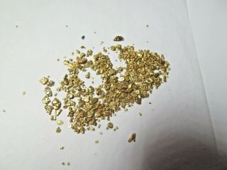 Mined Placer Gold From The Yukon - 22ct Gold Approx