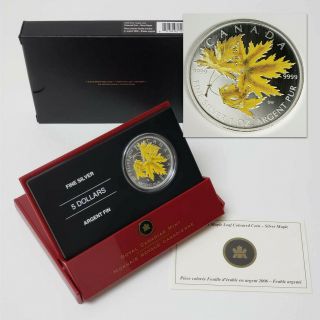 2006 Canada $5 Silver Maple Leaf Coloured 1oz.  9999 Fine Silver Coin Cbx3smc679