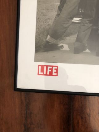 Framed LIFE 