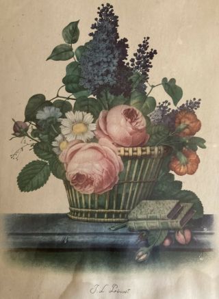 Vintage J.  L.  Prevost Botanical Floral Print in Frame 3