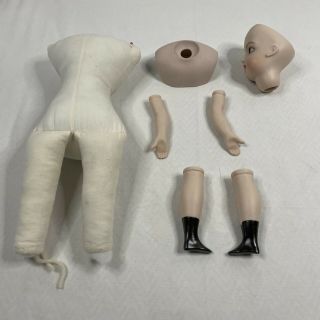 Vintage Porcelain Bisque Baby Doll Arms,  Legs,  Heads,  Parts,  Restore,  Repair