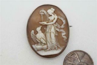 Antique Victorian Silver Carved Shell Hebe & Zeus Eagle Cameo Brooch C1880