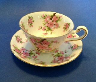 Royal Chelsea Teacup And Saucer - White With Pink Cherry Blossoms - England