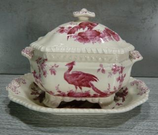 Antique Copeland Spode Red/pink Chelsea Bird Sml Tureen & Underplate,  1884 - 1929