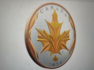 2021 Maple Leaf In Motion $50 Silver Yellow & Rose Gold Plated Coin Canada