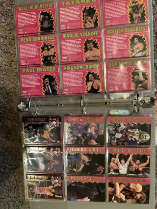 1995 wwf action packed COMPLETE SET 3