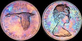 1967 Canada Elizabeth Ii Silver $1 Dollar Proof Like Toned Goose