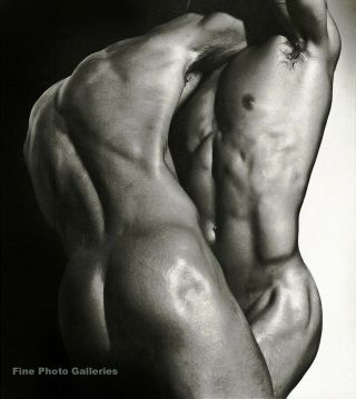 1987 Vintage Herb Ritts Male Nude Torso Wrestling Muscle Duotone Photo Art 11x14