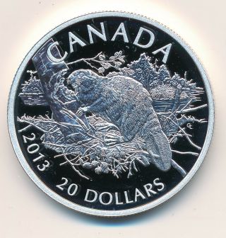 Canada 20 Dollars 2013 The Beaver - Proof.  999 Silver