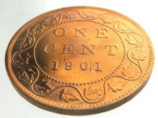 1901 Canada One 1 Cent Large Penny Copper Canadian Whizzed Victoria Coin P435 2