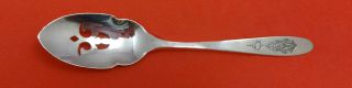 Bird Of Paradise By Community Plate Silverplate Pierced Olive Spoon Custom Made