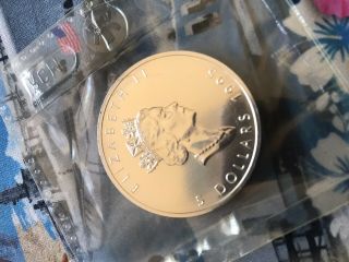 1995 Canada $5 Silver Maple Leaf 1oz Silver Bullion