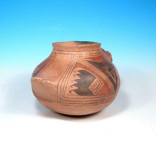 Casas Grandes Antique Mexican Turtle Figural Folk Art Pottery Effigy Bowl 3