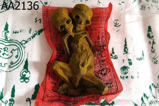 Voodoo Doll Skull Skeleto Ritual 2 Head Kuman Thong Ghost Doll Amulet 2136ar