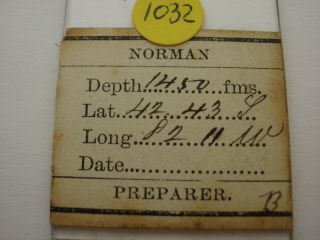 Antique Microscope Slide.  Soundings from Challenger Expedition by Norman. 2