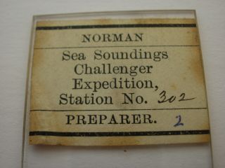 Antique Microscope Slide.  Soundings from Challenger Expedition by Norman. 3