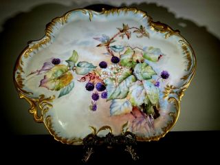 Antique Hand Painted Limoges Large Platter Tray Delinieres & Co Bernandaud
